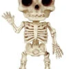 Franky Skeleton Bonez 7in | Decor | Novelty And Decor