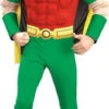 AS-IS | Teen Titan Robin | Adult Size Lg | DC
