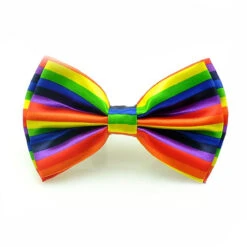 Rainbow Stripe Bow Tie | Pride | Accessories