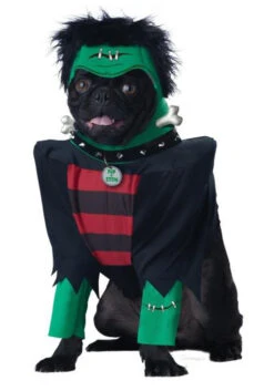 Frankenpup | Halloween | Pets