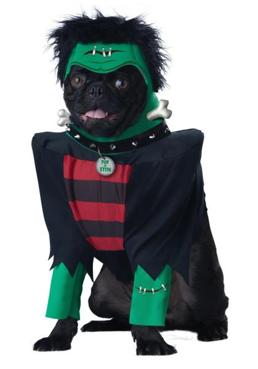 Frankenpup | Halloween | Pets 1 Frankenpup | Halloween | Pets