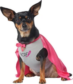 My Bcrf Hero | Misc | Pets