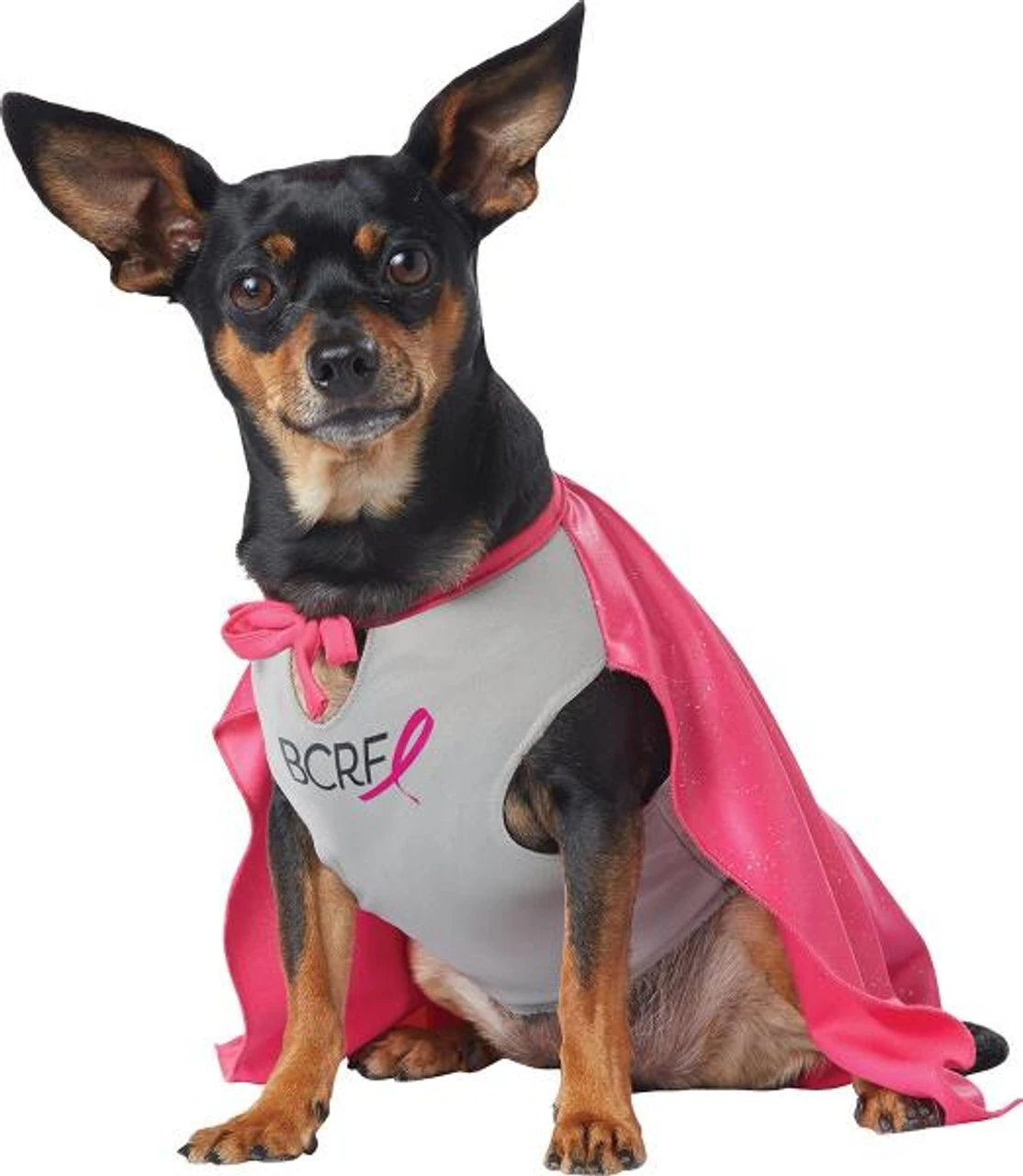 My Bcrf Hero | Misc | Pets 1 My Bcrf Hero | Misc | Pets