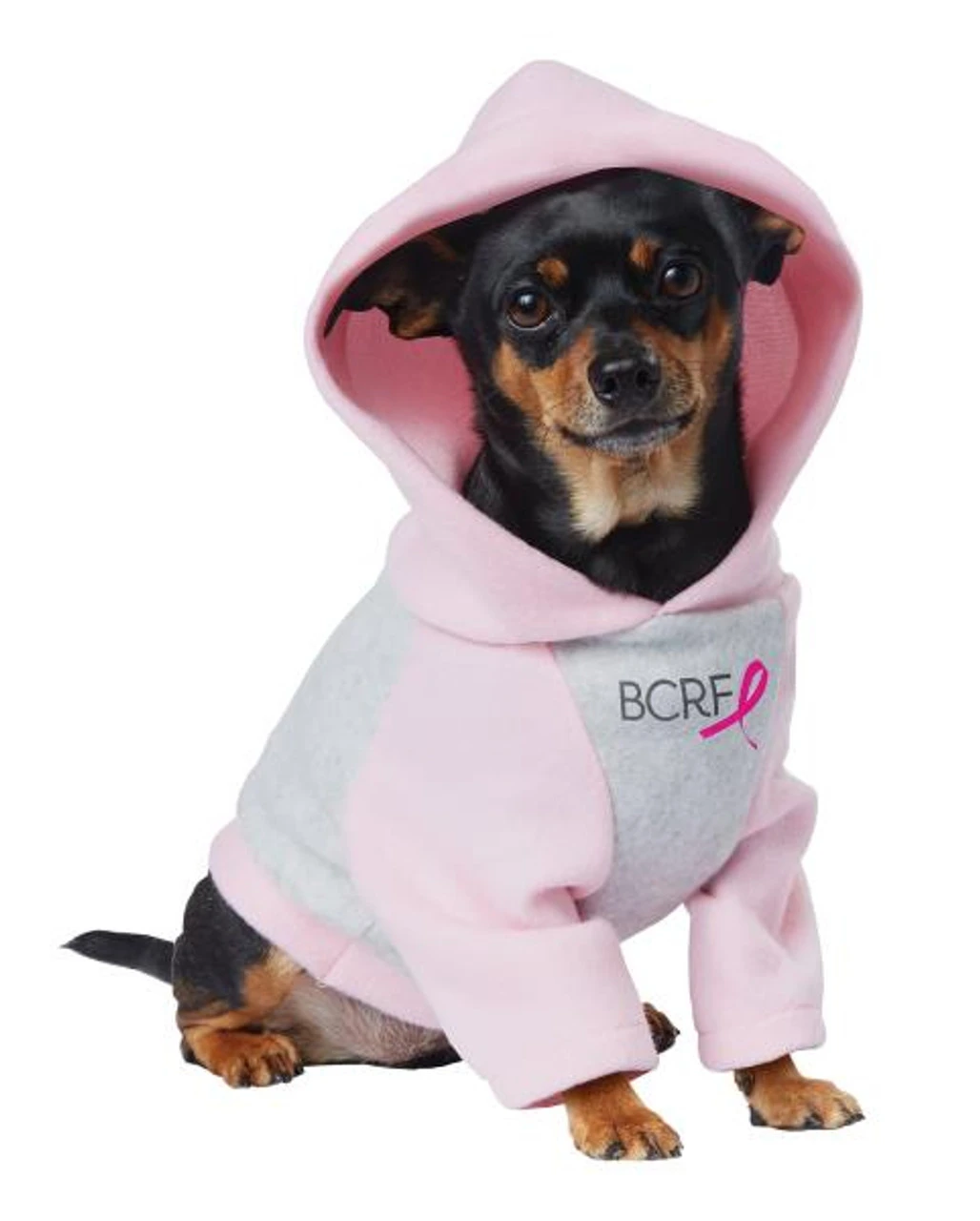 Pink Ribbon Hoodie | Misc | Pets 1 Pink Ribbon Hoodie | Misc | Pets