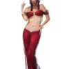 Dreamy Genie | Cultures | Womens Costumes