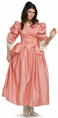 Pirates Of The Caribbean Carina Costume | Pirates Of The Caribbean | Womens Costumes | Consignment